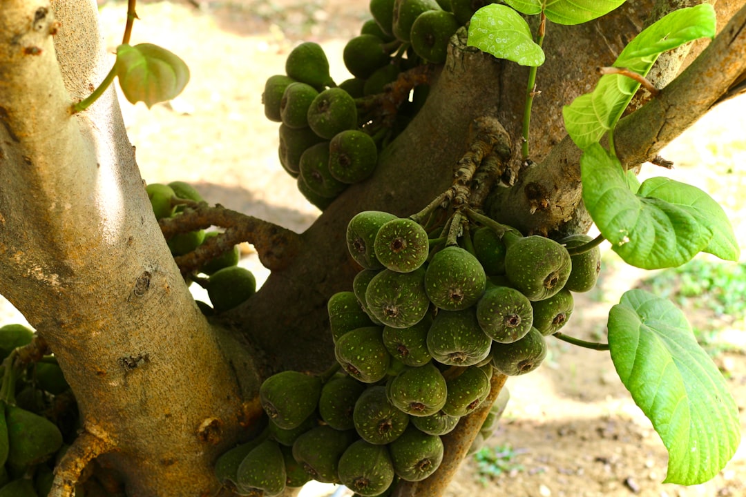 Wat je moet weten over de kosten van een wiellager vervangen bij je auto