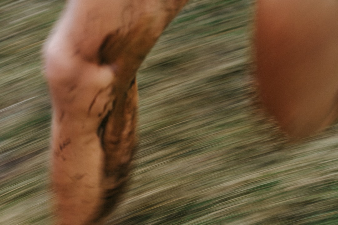 Alles wat je moet weten over het wiellager van je auto